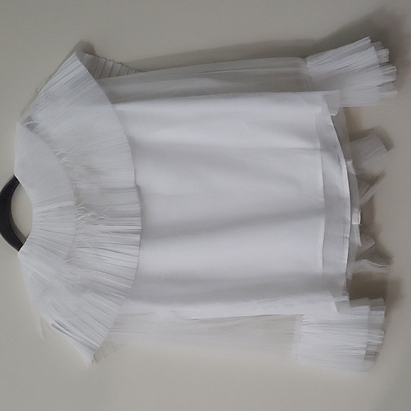 M/2 Ruffled Feathered Sheer Blouse - Picture 9 of 10